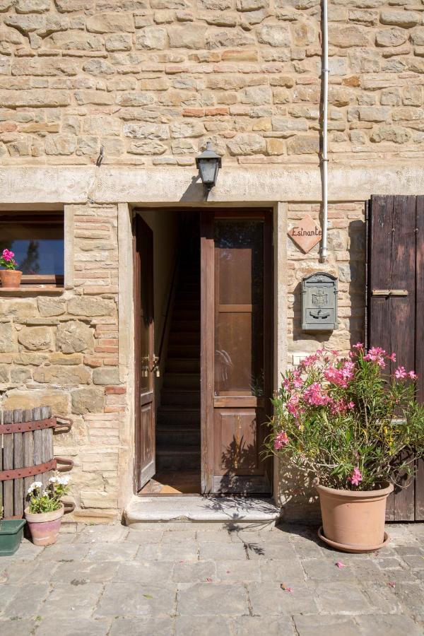 Agriturismo L'Esinante Cupramontana Exteriér fotografie