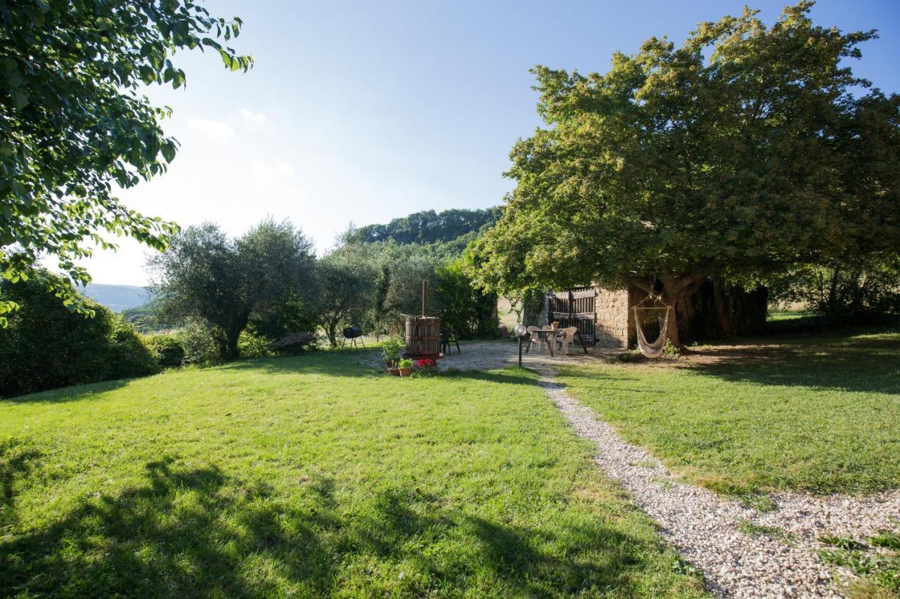 Agriturismo L'Esinante Cupramontana Exteriér fotografie